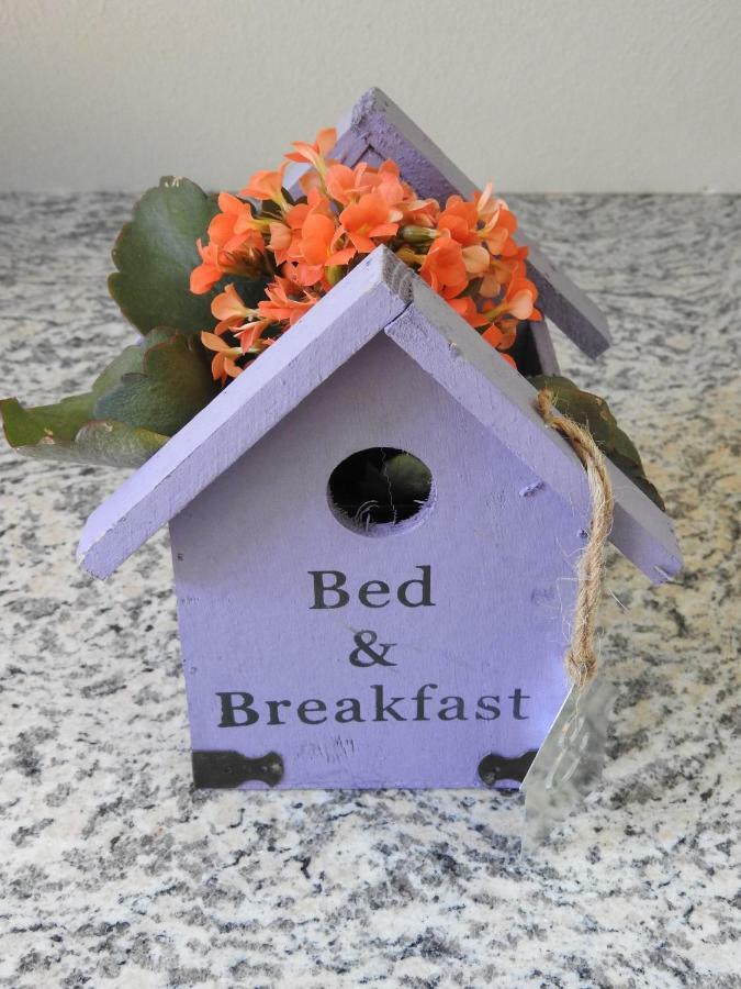 Sweet Home Suite Hallerndorf Ngoại thất bức ảnh